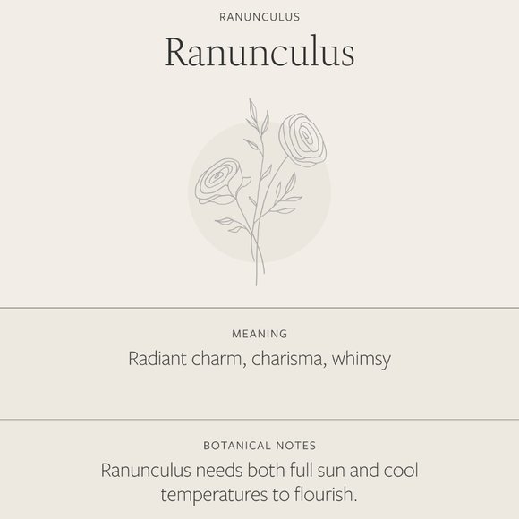 Buttercup Flower Engraved Chic Cute Charm Necklace - Picture 7 of 16